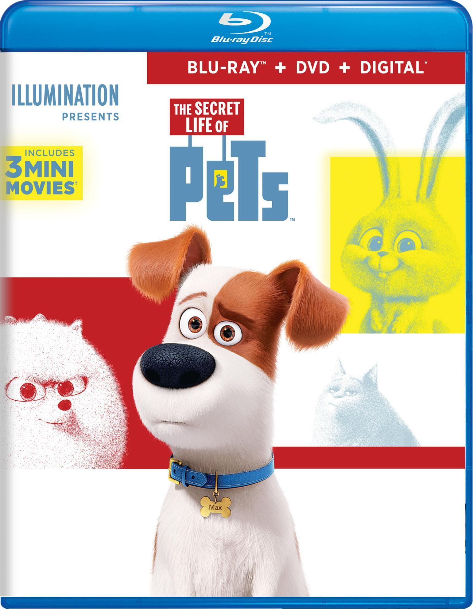The Secret Life Of Pets (DVD + Digital) - Blu-ray [ 2016 ]  - Children Movies On Blu-ray - Movies On GRUV