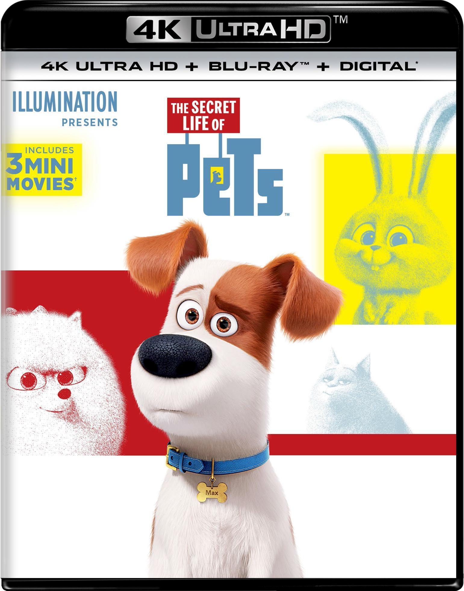 The Secret Life Of Pets (4K Ultra HD) - UHD [ 2016 ]  - Animation Movies On 4K Ultra HD Blu-ray - Movies On GRUV