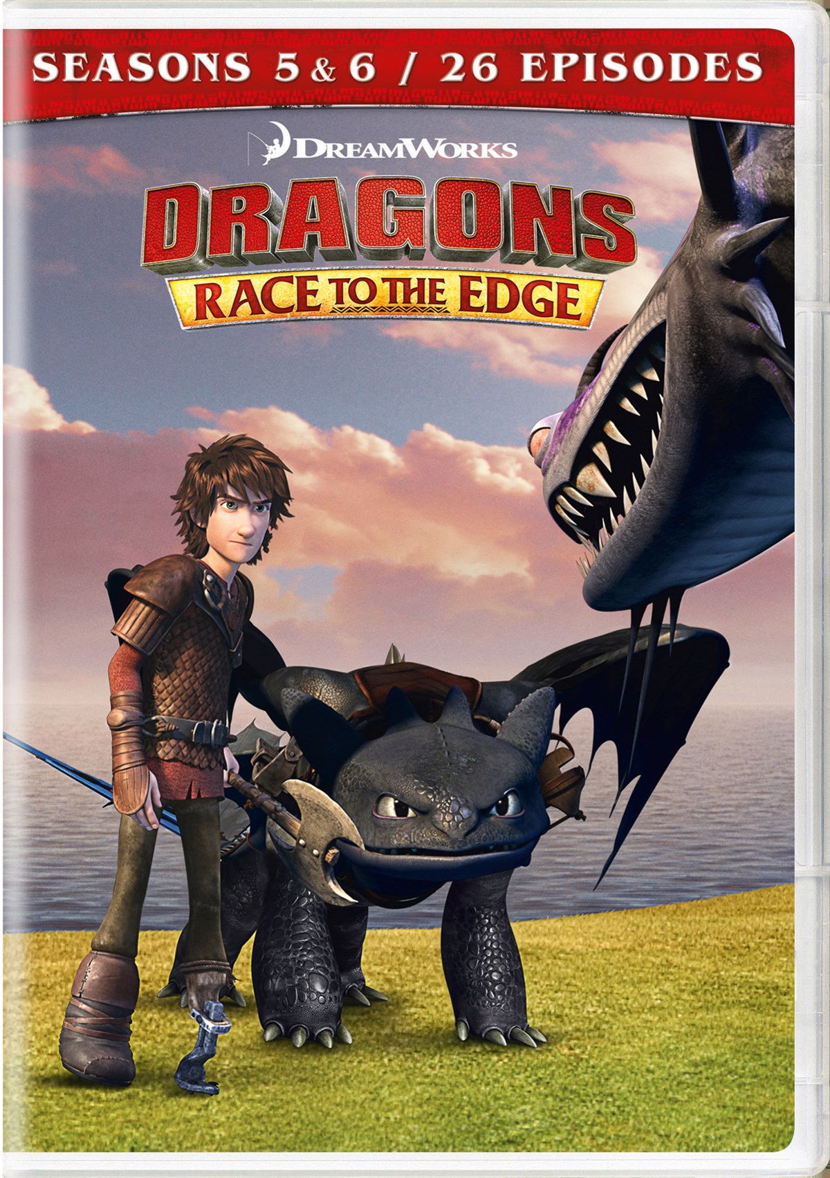 Dragons Race to the Edge Seasons 5 & 6 [DVD]