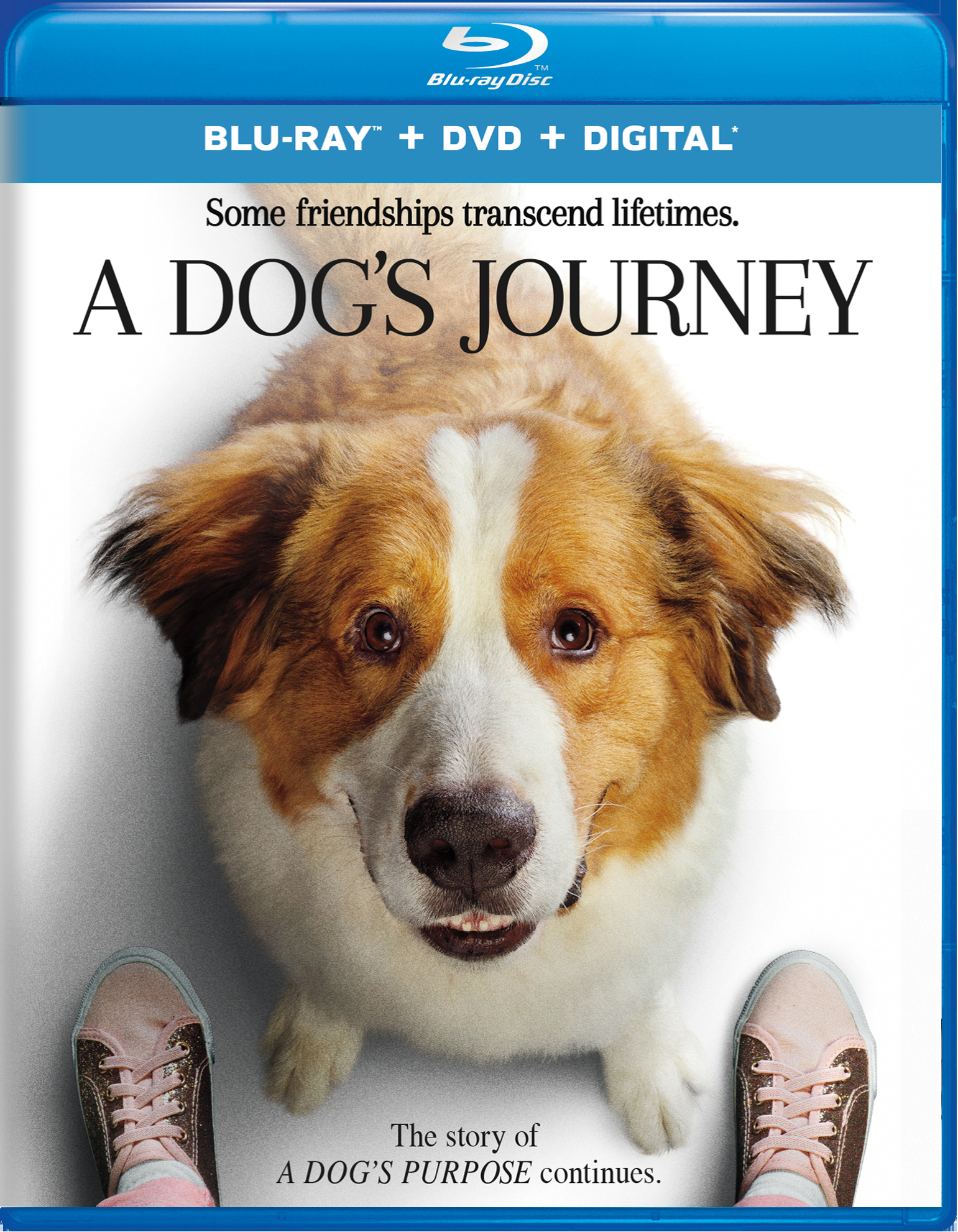 A Dog's Journey (DVD + Digital) - Blu-ray [ 2019 ]  - Comedy Movies On Blu-ray - Movies On GRUV