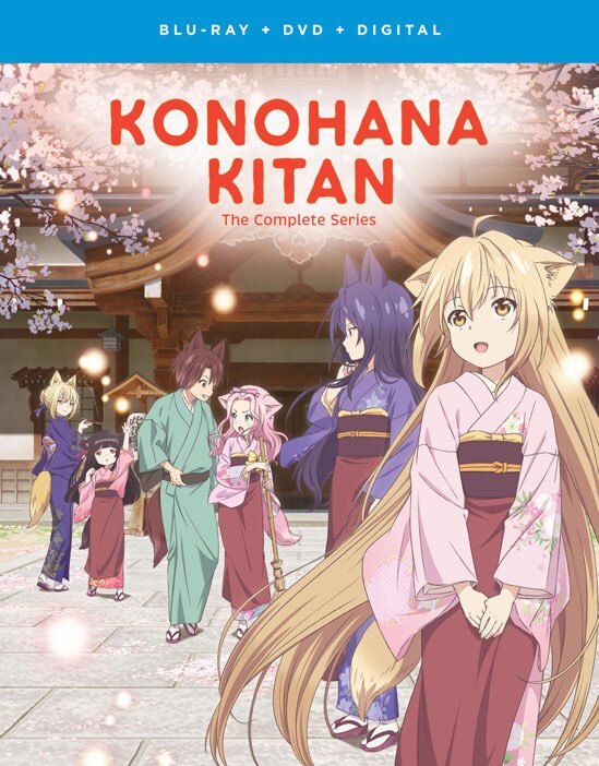 Konohana Kitan: The Complete Series (with DVD) - Blu-ray [ 2015 ]  - Anime Movies On Blu-ray - Movies On GRUV