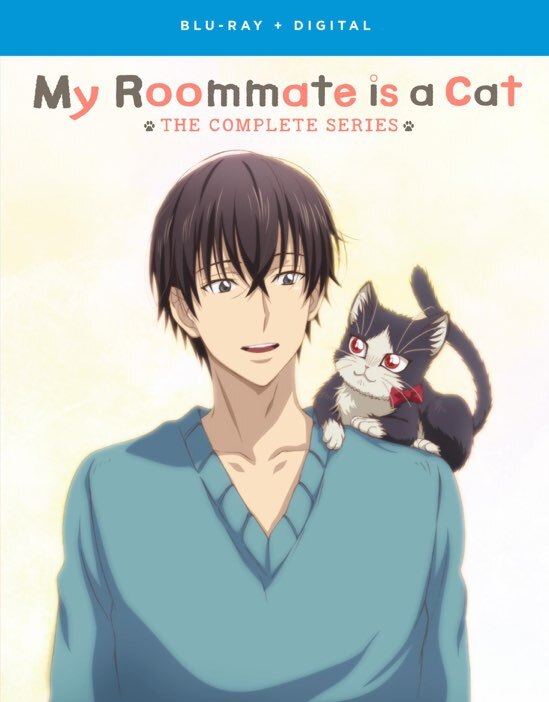 My Roommate Is A Cat: The Complete Series (Blu-ray + Digital Copy) - Blu-ray [ 2015 ]  - Anime Movies On Blu-ray - Movies On GRUV