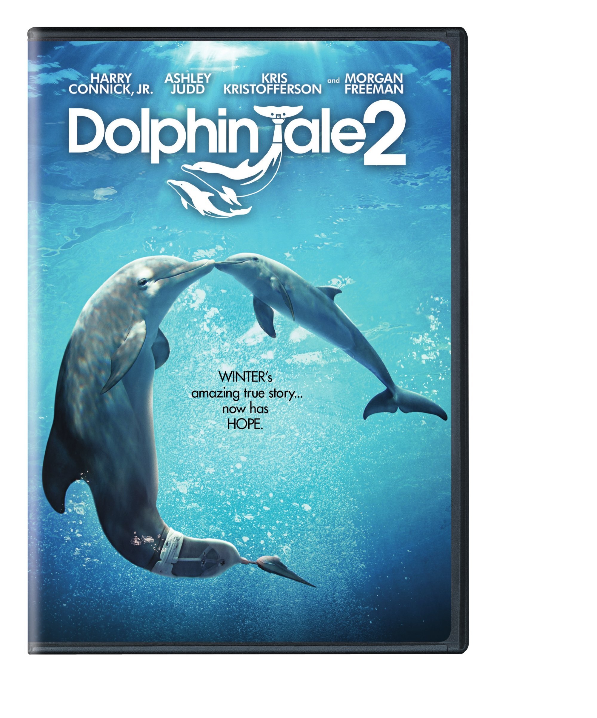 Dolphin Tale 2 - DVD [ 2014 ]  - Drama Movies On DVD - Movies On GRUV