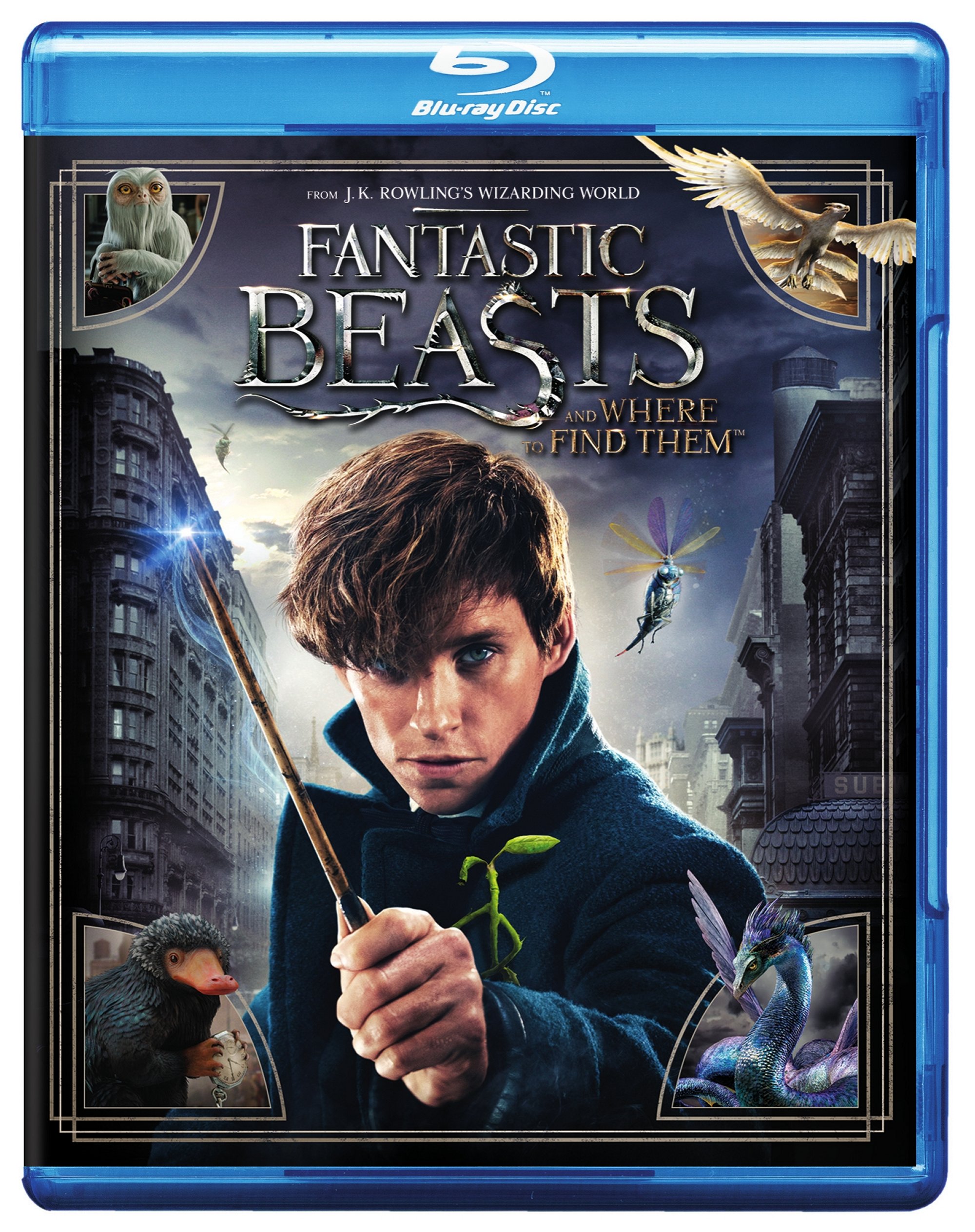 Fantastic Beasts And Where To Find Them - Blu-ray [ 2016 ]  - Adventure Movies On Blu-ray - Movies On GRUV