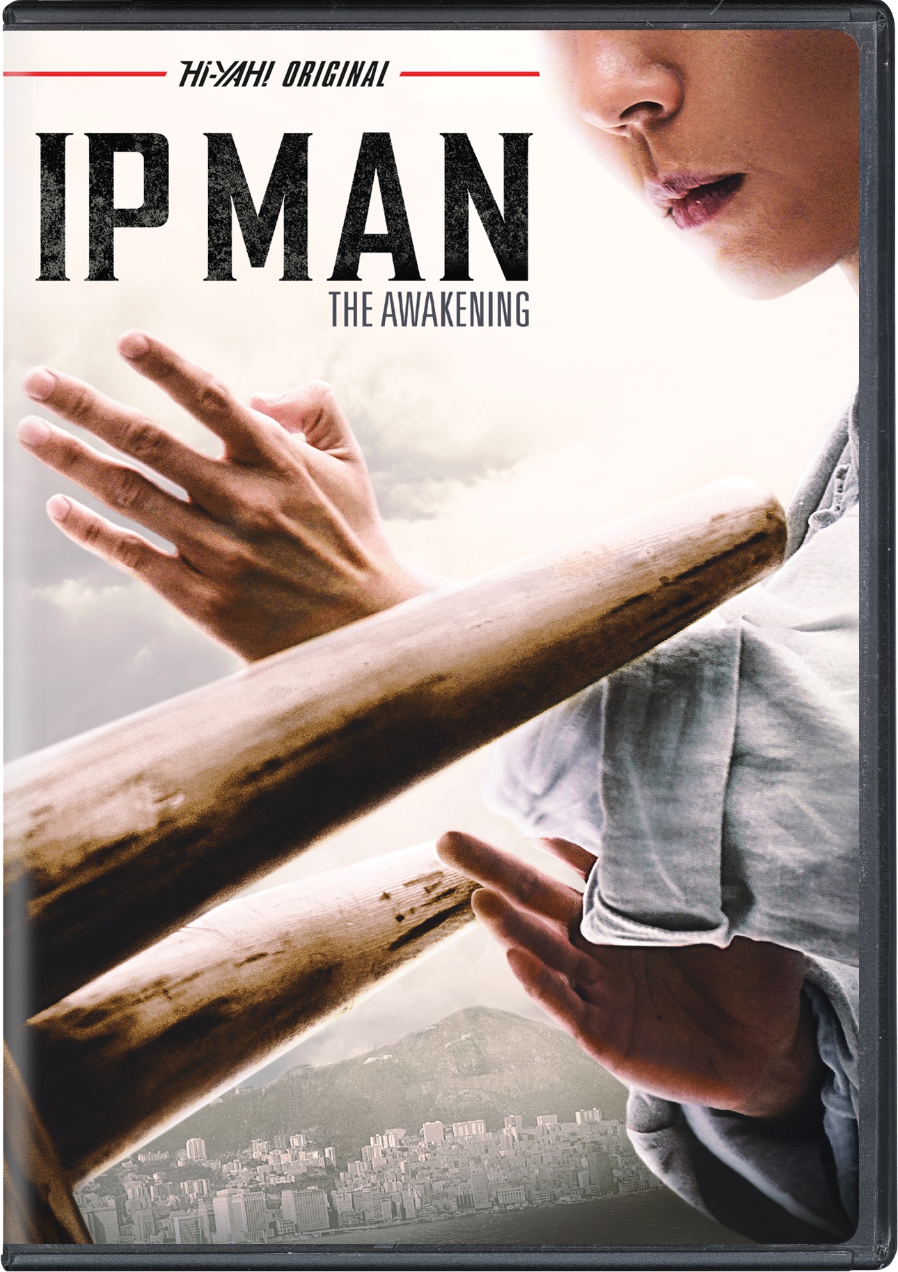 Ip Man: The Awakening - DVD [ 2021 ]  - Foreign Movies On DVD - Movies On GRUV