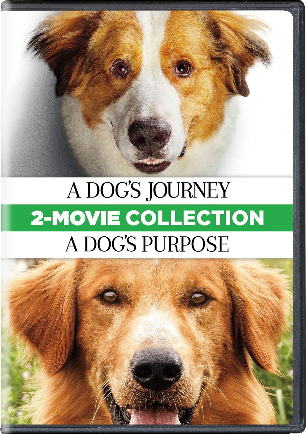 A Dog's Purpose/A Dog's Journey (DVD Double Feature) - DVD   - Drama Movies On DVD - Movies On GRUV
