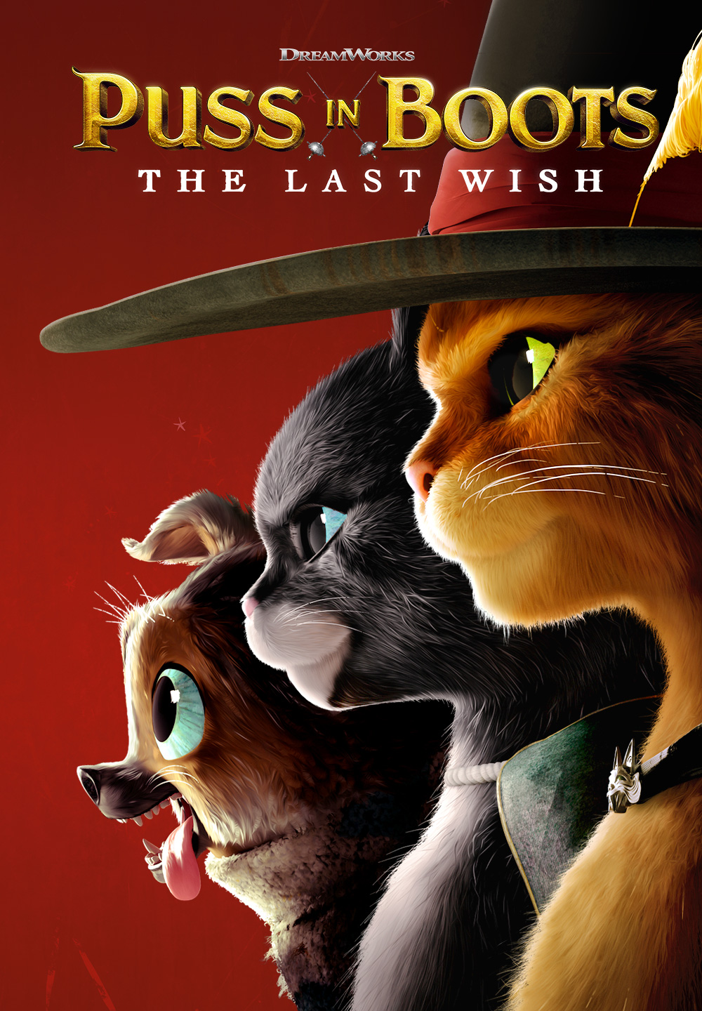 Watch Now Puss in Boots: The Last Wish in UHD | GRUV Digital