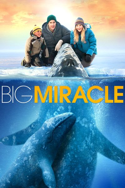 Big Miracle - Digital Code - HD