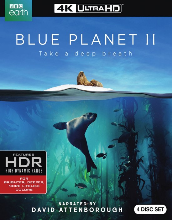 Blue Planet II (4K Ultra HD + Blu-ray) - UHD [ 2017 ]  - Nature Movies On 4K Ultra HD Blu-ray - Movies On GRUV