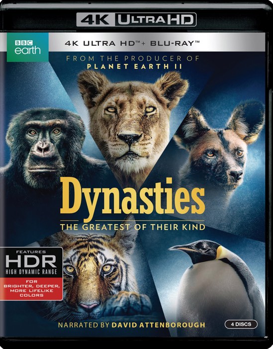 Dynasties (4K Ultra HD + Blu-ray) - UHD [ 2018 ]  - Nature Movies On 4K Ultra HD Blu-ray - Movies On GRUV
