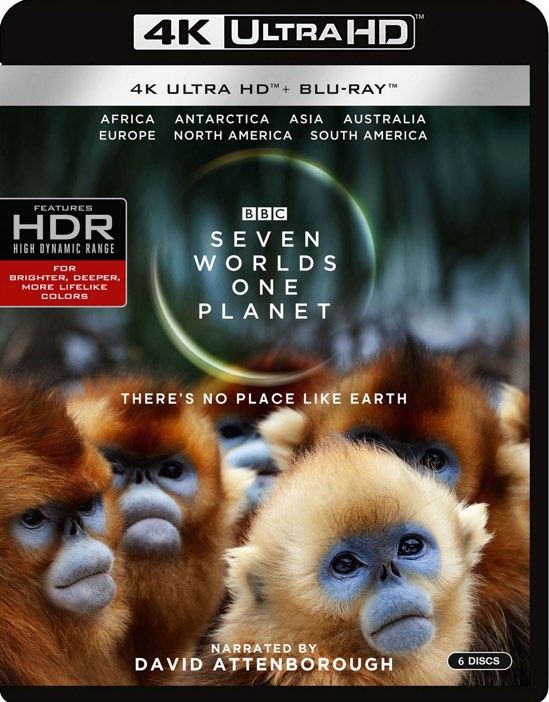 Seven Worlds, One Planet (4K Ultra HD + Blu-ray) - UHD [ 2019 ]  - Nature Movies On 4K Ultra HD Blu-ray - Movies On GRUV