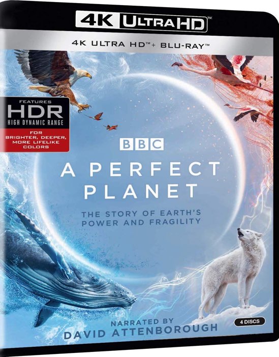A Perfect Planet (4K Ultra HD + Blu-ray) - UHD [ 2020 ]  - Nature Movies On 4K Ultra HD Blu-ray - Movies On GRUV